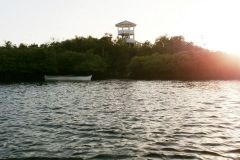 Del Carmen Mangrove Forest View Deck